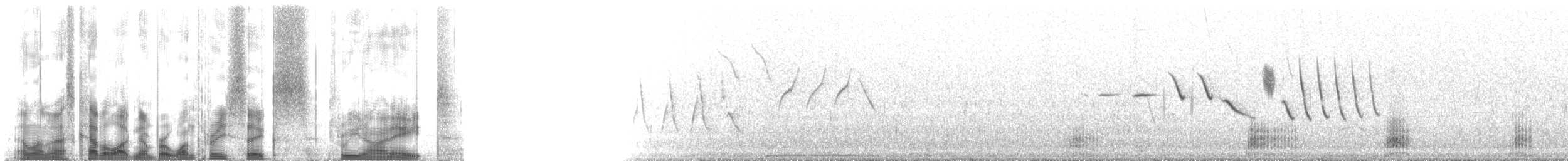 Fuligule milouinan - ML136398