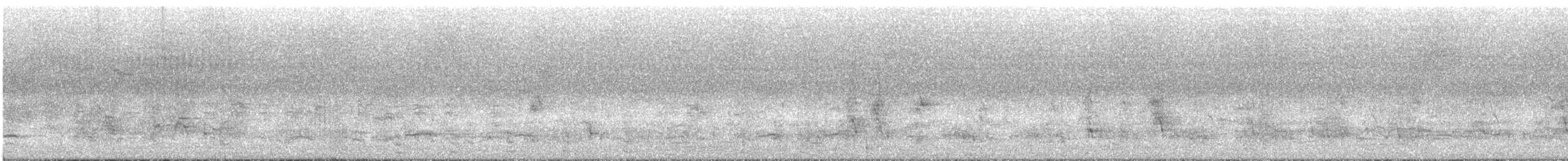 Little Pied Cormorant - ML136403911