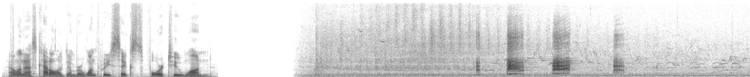 斑背潛鴨 - ML136421