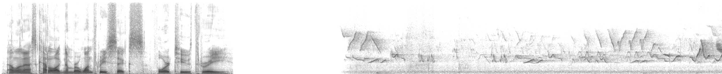 Дрізд-короткодзьоб малий - ML136423