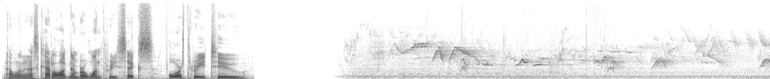 lesňáček černohlavý - ML136432