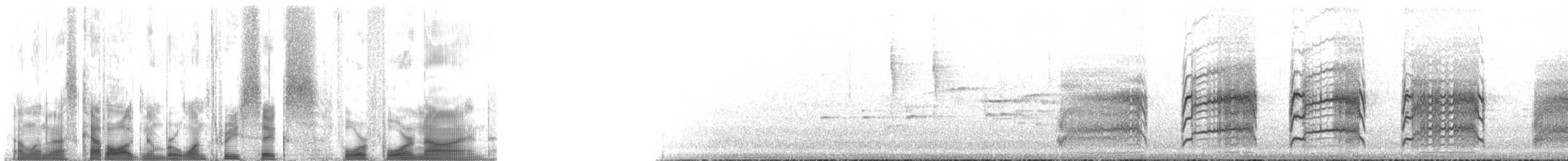 ハイイロウミツバメ - ML136449