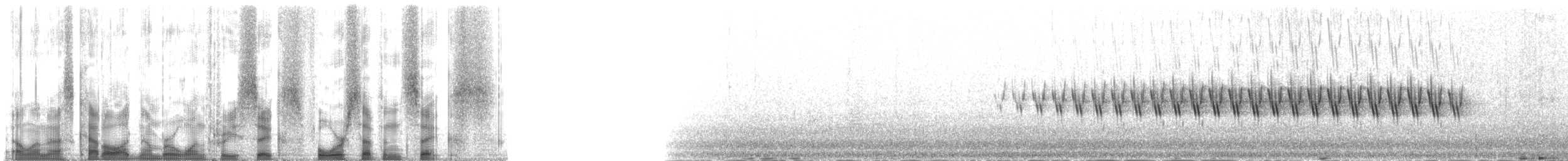 Arctic Warbler - ML136476
