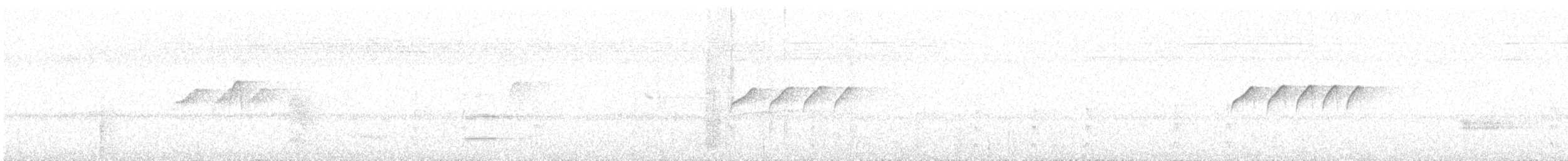 White-lored Tyrannulet - ML136476771