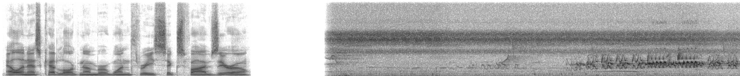 Лінивка-чорнопер червонодзьоба - ML13650