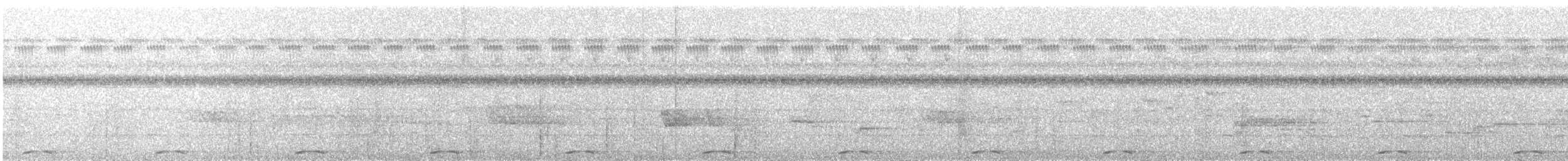 holub šedoprsý - ML136509751