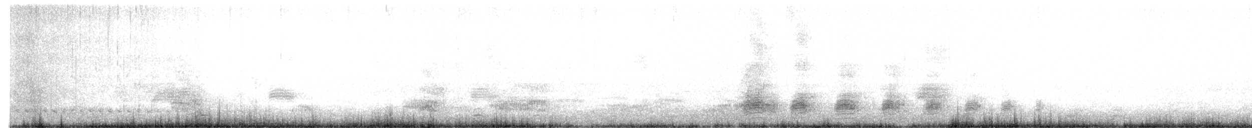 ホオジロガモ - ML136513851