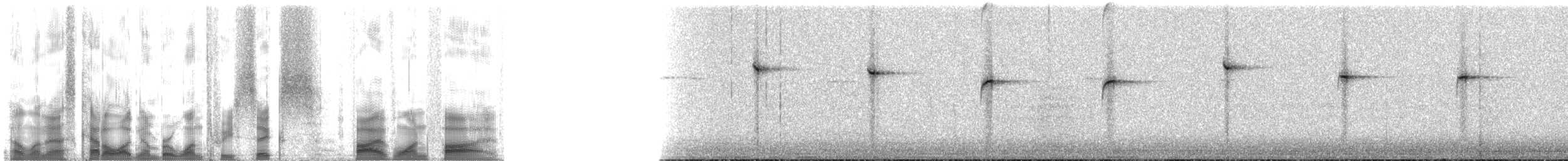 Синегорлый солнечник - ML136515