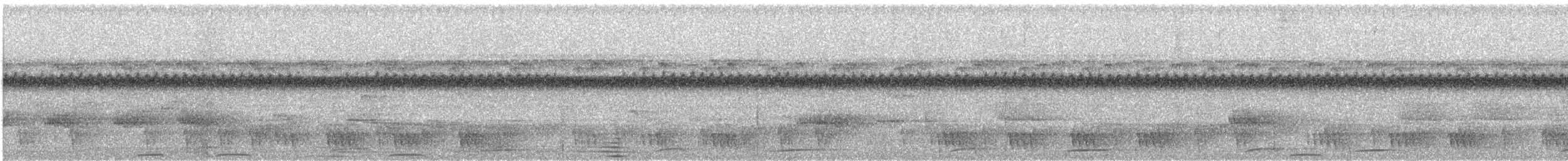 holub skvrnkoprsý - ML136521901