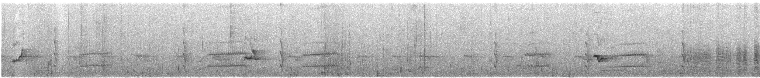 ledňáček pacifický - ML136537471