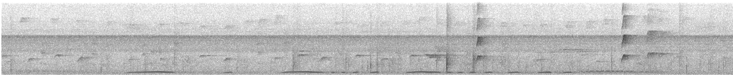 holub stříbrohlavý - ML136541521