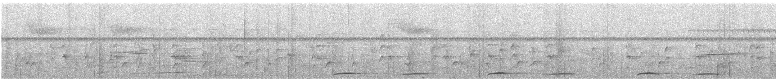 holub skvrnkoprsý - ML136550991