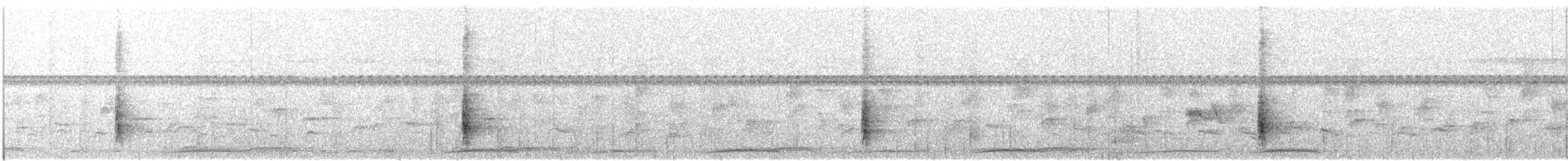 Siffleur de Rennell - ML136552571