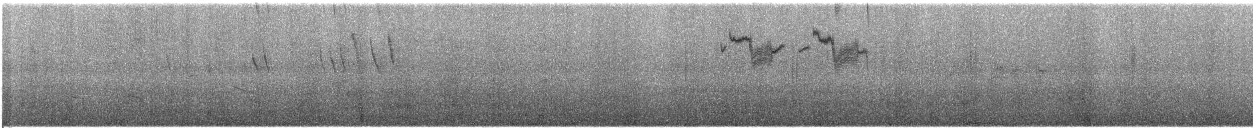 Искристый колибри - ML136571911