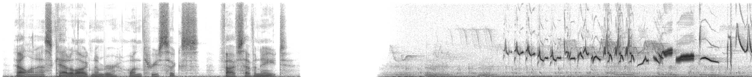 Amerika Çütresi (purpureus) - ML136578