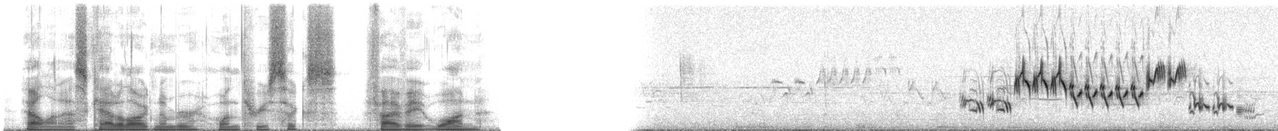 Lincoln's Sparrow - ML136581