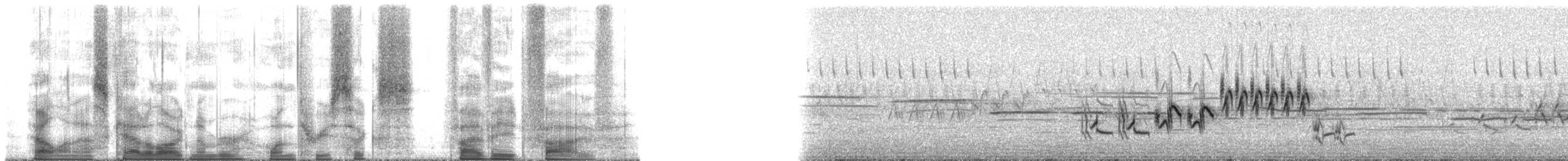 Lincoln's Sparrow - ML136585