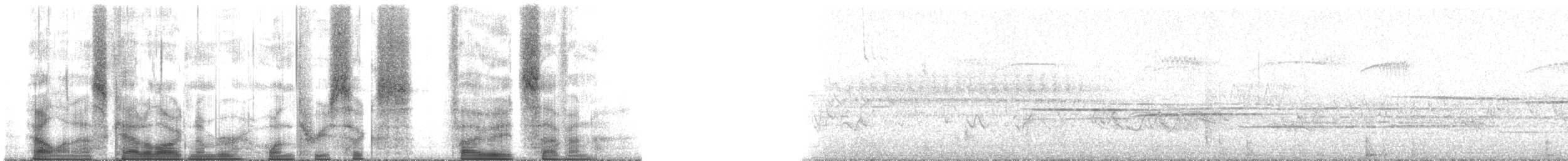 Lincoln's Sparrow - ML136587