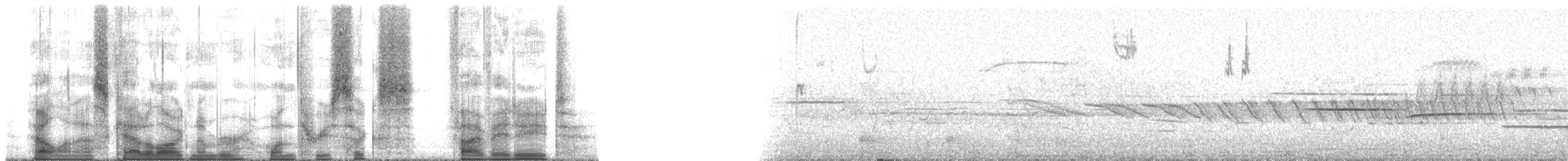 White-throated Sparrow - ML136588