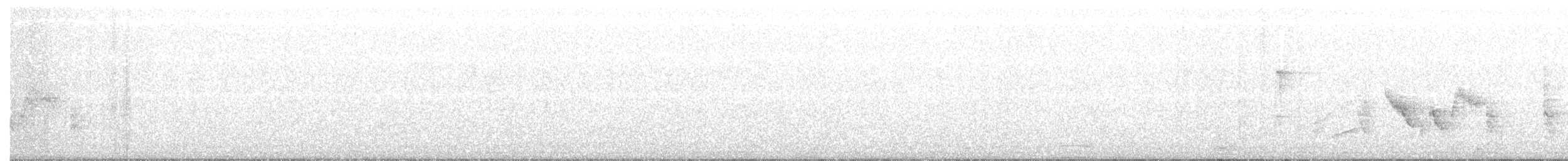 White-eyed Vireo - ML136595051