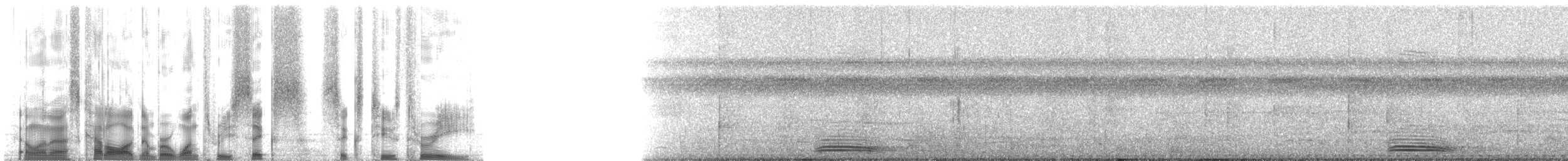 Broad-billed Motmot (Plain-tailed) - ML136623