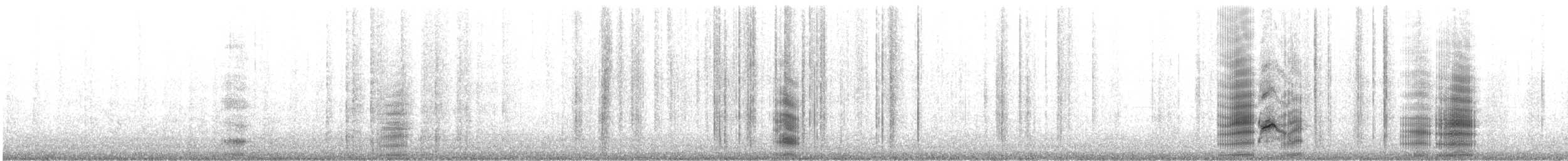 Neotropic Cormorant - ML136639871