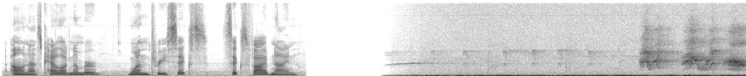 Weißstirn-Ameisenschnäpper - ML136659