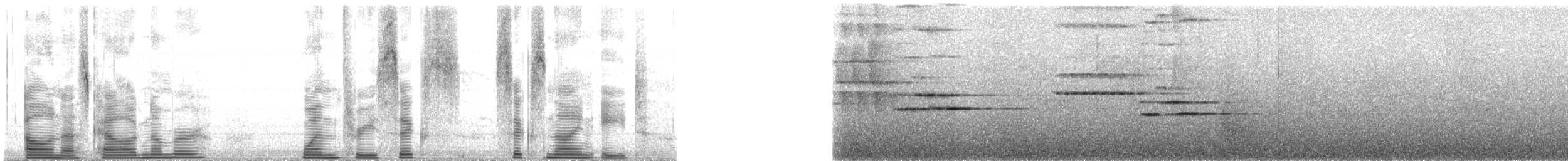 Андский кларино (ralloides) - ML136698