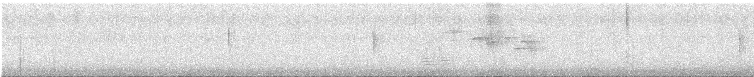 Kiefernwaldsänger - ML136705941