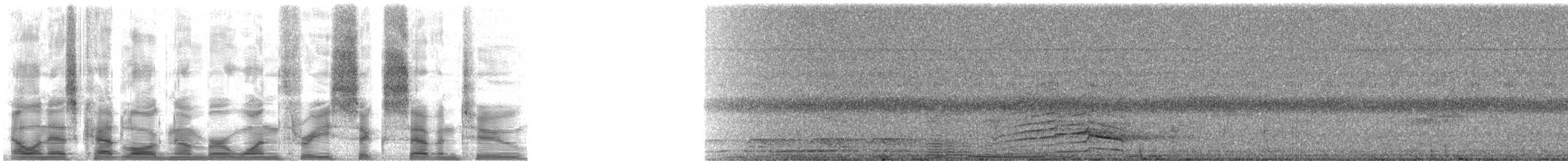 Gray-headed Kite - ML13672