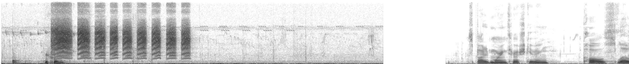 Spotted Morning-Thrush - ML136788741