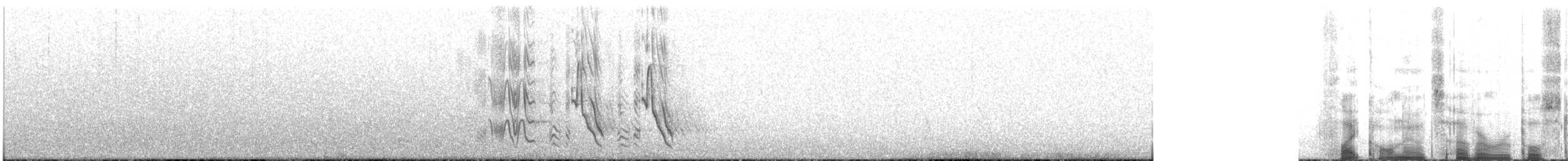 Rüppell's Starling - ML136797601