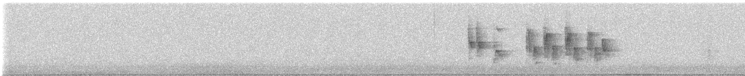 Соловьиная широкохвостка - ML136823291