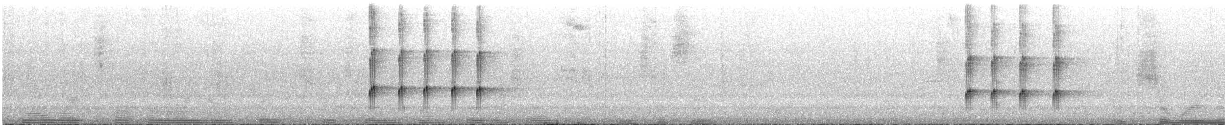 Тиранчик-чубань західний - ML136830091