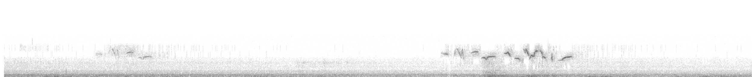 Посмітюха звичайна (підвид macrorhyncha/randonii) - ML136902691