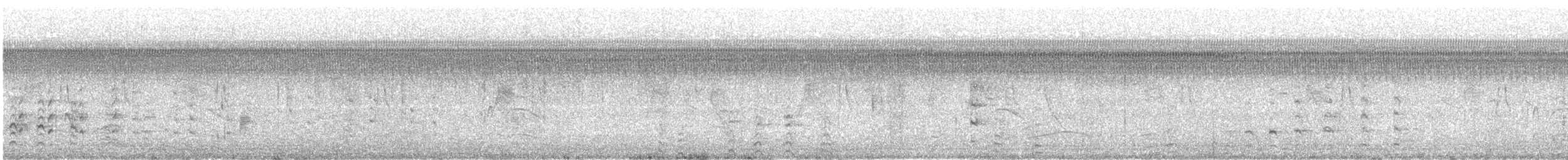 Gallinule d'Amérique - ML136903281
