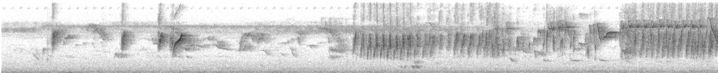Атласная нектарница - ML136909761