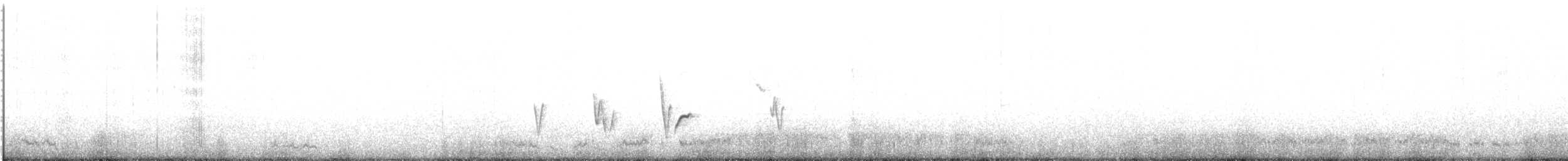 Патагонская диука - ML136944031