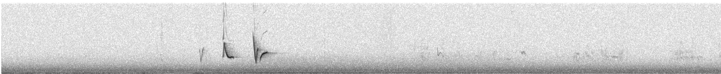 Diuca gris - ML136944051