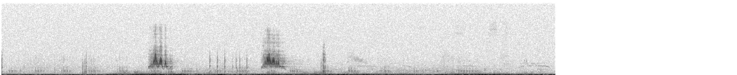 hvithodeskovleand - ML136948691