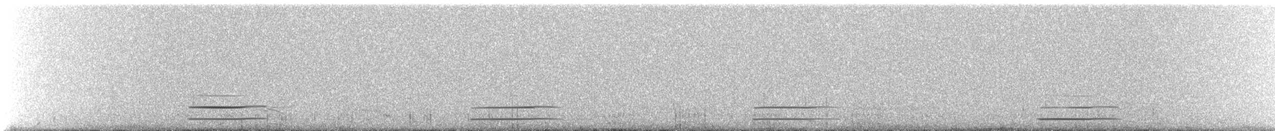 hvithodeskovleand - ML136948711
