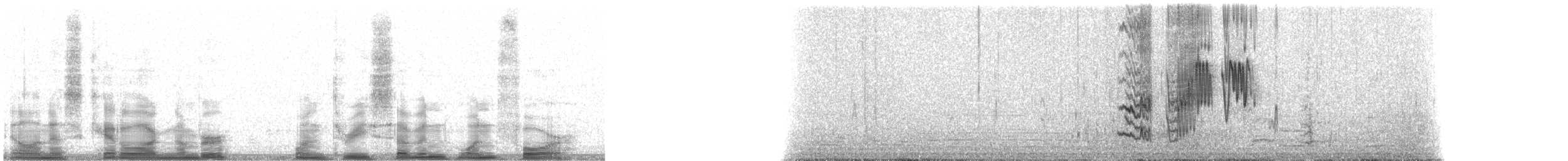 drozd falklandský (ssp. falcklandii) - ML13714