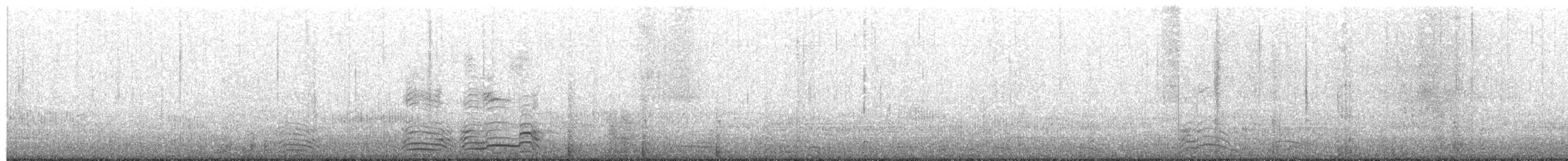 長尾鴨 - ML137140831