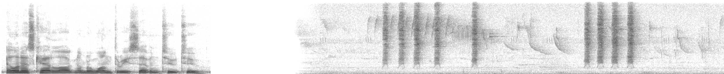 Pale-breasted Thrush - ML13722