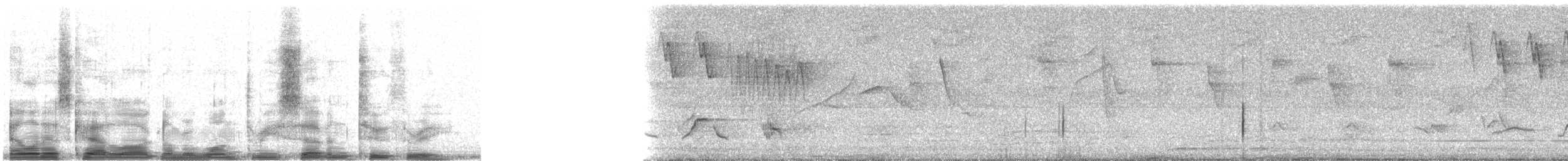 drozd bledoprsý - ML13723