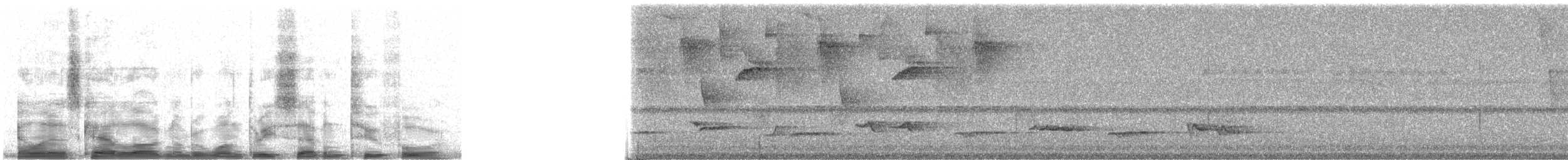 drozd skvrnitý [skupina fumigatus] - ML13724