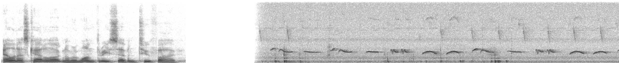 drozd skvrnitý [skupina fumigatus] - ML13725