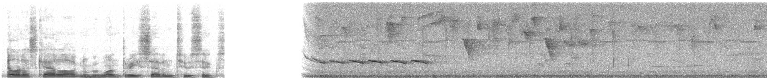 Cocoa Thrush (Cocoa) - ML13726