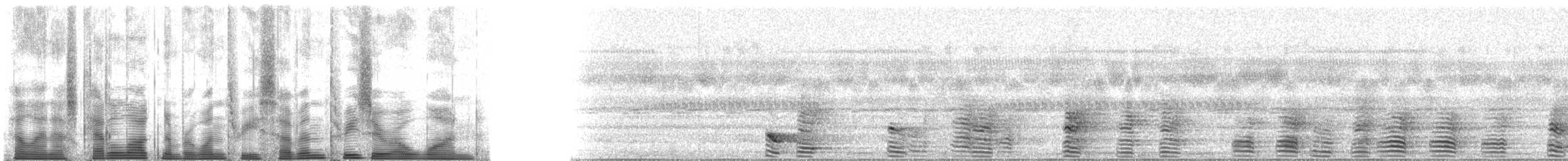 フランケオナシケンショウコウモリ - ML137301