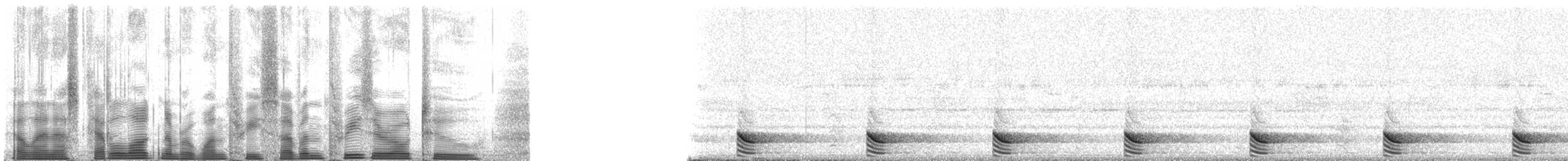 フランケオナシケンショウコウモリ - ML137302